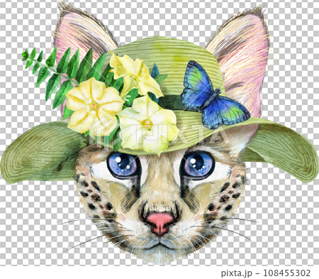 Lovely closeup portrait Savannah cat in summer hat with flowers and butterfly. Hand drawn water colour painting on white background Lovely closeup portrait Savannah cat in summer hat with flowers and butterfly. Hand drawn water colour painting on white background 108455302