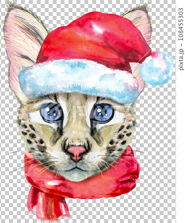Lovely closeup portrait Savannah cat in Santa hat. Hand drawn water colour painting on white background Lovely closeup portrait Savannah cat in Santa hat. Hand drawn water colour painting on white background 108455303