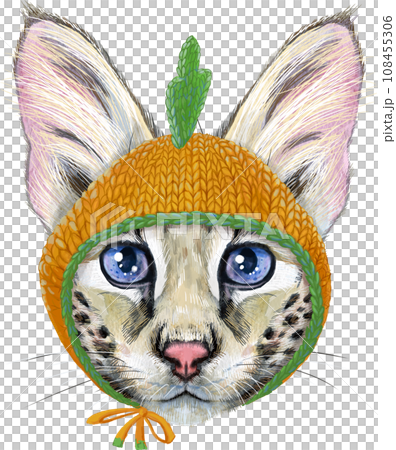 Lovely closeup portrait Savannah cat in a carrot hat. Hand drawn water colour painting on white background 108455306