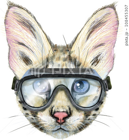 Lovely closeup portrait Savannah cat in goggles. Hand drawn water colour painting on white background Lovely closeup portrait Savannah cat in goggles. Hand drawn water colour painting on white background 108455307