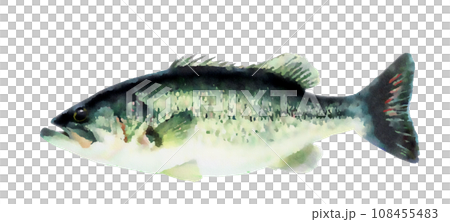 水彩巴士 水彩巴士 108455483