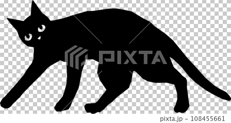 go go kuroneko 108455661