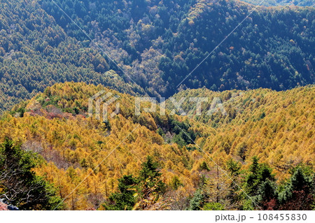 美ヶ原高原の紅葉　　王ヶ鼻　　武石峰 108455830