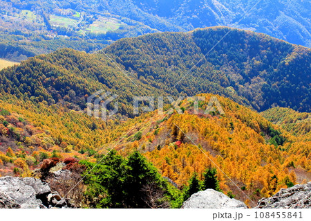 美ヶ原高原の紅葉　　王ヶ鼻　　武石峰 108455841