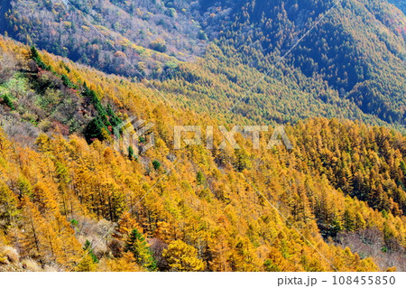 美ヶ原高原の紅葉　　王ヶ鼻　　武石峰 108455850