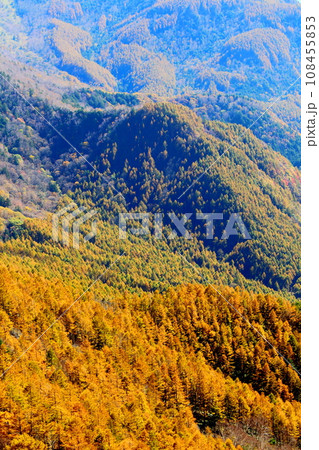 美ヶ原高原の紅葉　　王ヶ鼻　　武石峰 108455853