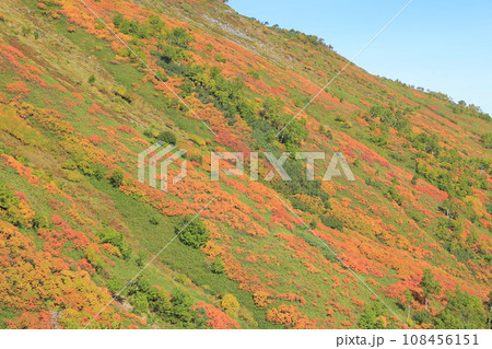 層雲峡の赤岳銀泉台(北海道) 層雲峡の赤岳銀泉台(北海道) 108456151