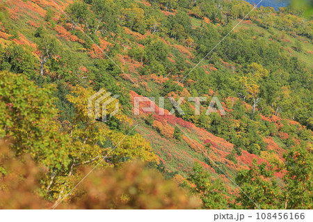 層雲峡の赤岳銀泉台(北海道) 層雲峡の赤岳銀泉台(北海道) 108456166