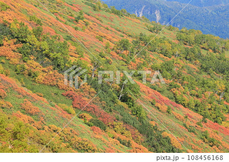 層雲峡の赤岳銀泉台(北海道) 層雲峡の赤岳銀泉台(北海道) 108456168