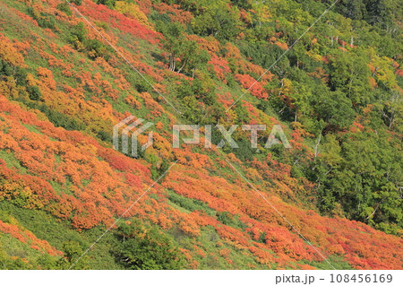 層雲峡の赤岳銀泉台(北海道) 層雲峡の赤岳銀泉台(北海道) 108456169