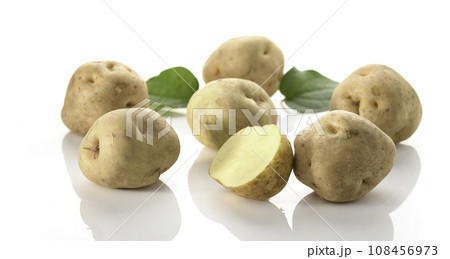 じゃがいも 白バック 108456973