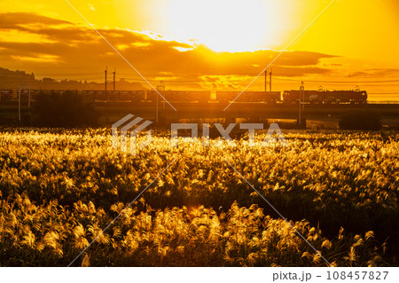 貨物列車と秋の夕焼け 貨物列車と秋の夕焼け 108457827