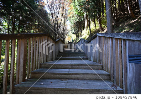 ぐんま天文台に通じる駐車場からの遊歩道 108457846