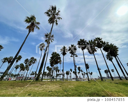 アメリカ アメリカ 108457855