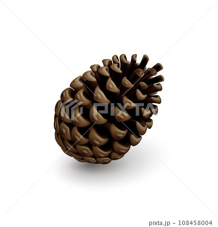 Fir Cone 108458004