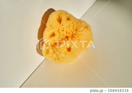 Natural sea sponge for face and body in the sun. Natural sea sponge for face and body in the sun. 108458316