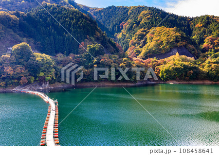 東京都奥多摩町 奥多摩湖の麦山浮橋 東京都奥多摩町 奥多摩湖の麦山浮橋 108458641