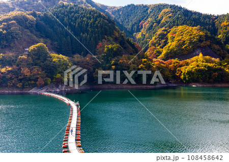 東京都奥多摩町　奥多摩湖の麦山浮橋 108458642