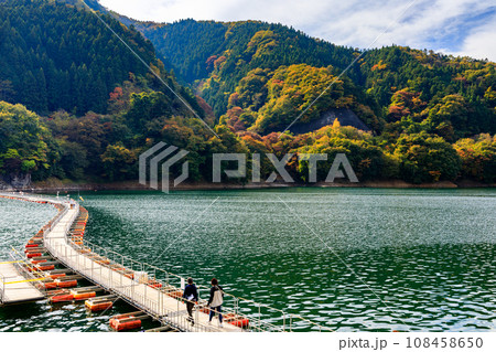 東京都奥多摩町 奥多摩湖の麦山浮橋 東京都奥多摩町 奥多摩湖の麦山浮橋 108458650