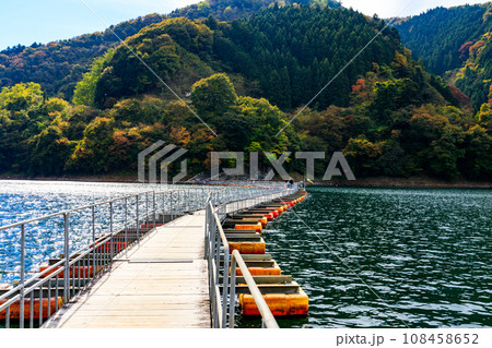 東京都奥多摩町　奥多摩湖の麦山浮橋 108458652