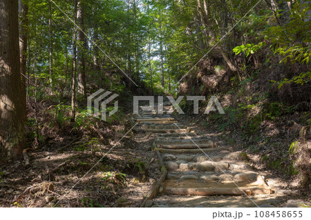 熊野古道（発心門王子～熊野本宮大社コース） 108458655