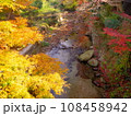 秋月 108458942