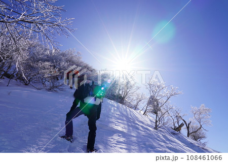 急登を登る登山者 108461066