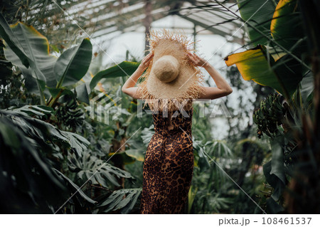Back view of woman tourist in straw hat and leopard dress standing in palm greenhouse Back view of woman tourist in straw hat and leopard dress standing in palm greenhouse 108461537