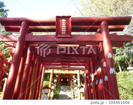 宮地嶽神社の奥の宮稲荷神社の鳥居 108461606