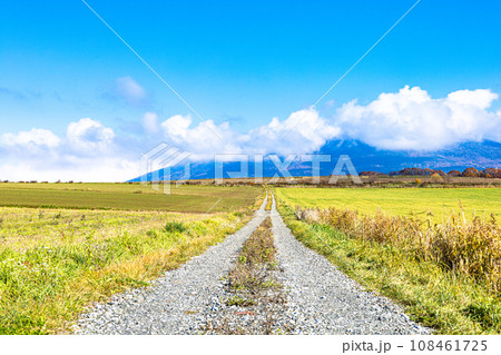 青空と秋の北海道富良野の田舎道 青空と秋の北海道富良野の田舎道 108461725