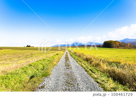 青空と秋の北海道富良野の田舎道 青空と秋の北海道富良野の田舎道 108461729