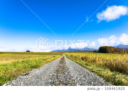 青空と秋の北海道の田舎道 108461920