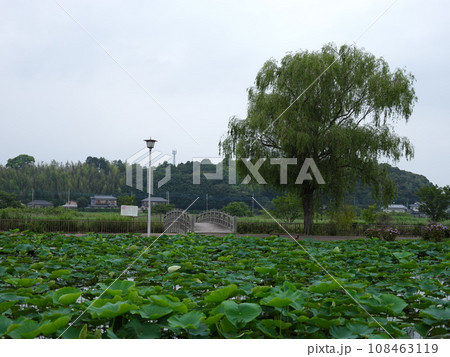 利根親水公園 108463119