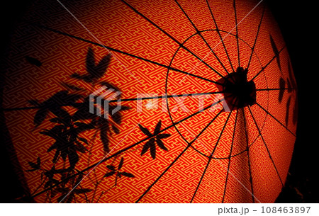 暗闇に浮かび上がるカラフルな和傘のイルミネーション、映る草の影 108463897