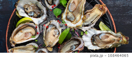 Fresh oysters with lime on a round plate. Several varieties of oysters. Oyster in half shell. Narrow banner. Flat lay. Top view. 108464065