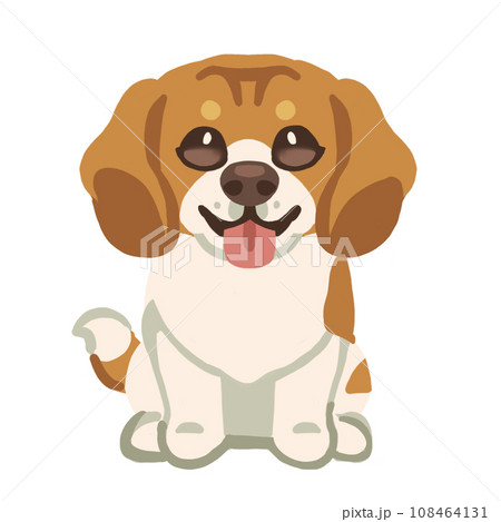 Beagle dog Beagle dog 108464131