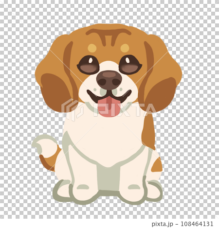 Beagle dog Beagle dog 108464131