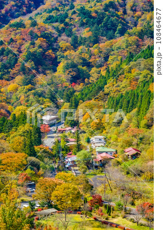 奥四万の山間の集落 奥四万の山間の集落 108464677