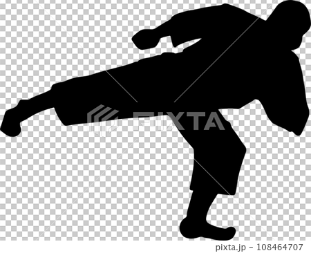 The karate Silhouette for martial arts or sport concept. The karate Silhouette for martial arts or sport concept. 108464707