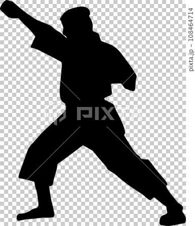 The karate Silhouette for martial arts or sport concept. 108464714
