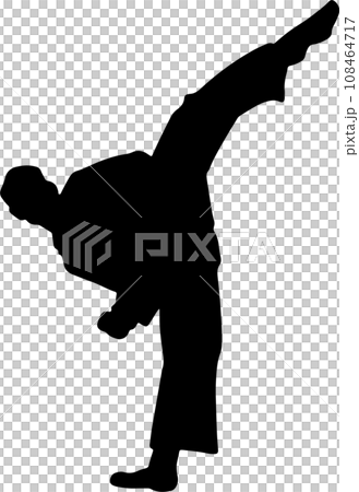 The karate Silhouette for martial arts or sport concept. 108464717