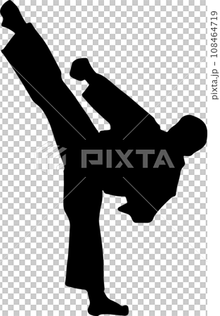The karate Silhouette for martial arts or sport concept. 108464719