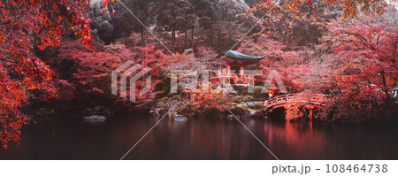 Daigo-ji temple in autumn season at Kyoto Japan panorama view 108464738