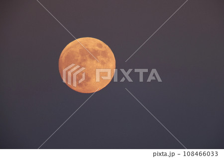 満月 108466033