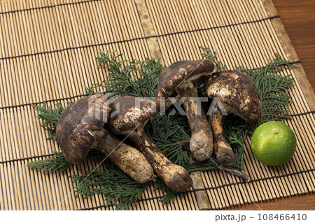 竹のマットに置いた松茸 108466410