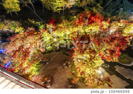 秋の日本三景松島　宮城県松島離宮 「紅葉＆ライトアップ2023」 宮城県松島町 108466898