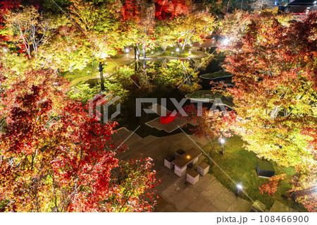 秋の日本三景松島　宮城県松島離宮 「紅葉＆ライトアップ2023」 宮城県松島町 108466900