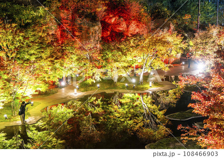 秋の日本三景松島 宮城県松島離宮 「紅葉&ライトアップ2023」 宮城県松島町 秋の日本三景松島 宮城県松島離宮 「紅葉&ライトアップ2023」 宮城県松島町 108466903