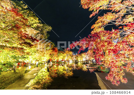 秋の日本三景松島 宮城県松島離宮 「紅葉&ライトアップ2023」 宮城県松島町 秋の日本三景松島 宮城県松島離宮 「紅葉&ライトアップ2023」 宮城県松島町 108466914