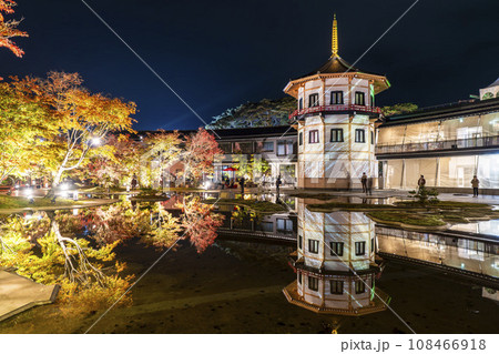 秋の日本三景松島 宮城県松島離宮 「紅葉&ライトアップ2023」 宮城県松島町 秋の日本三景松島 宮城県松島離宮 「紅葉&ライトアップ2023」 宮城県松島町 108466918